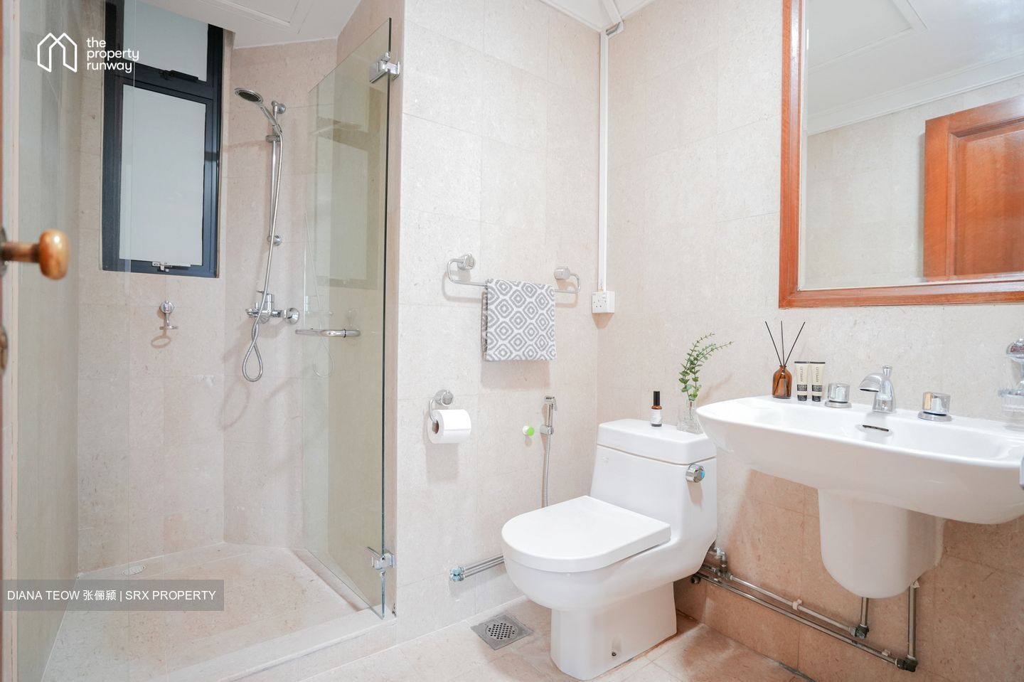 Valley Park (D10), Condominium #554451791